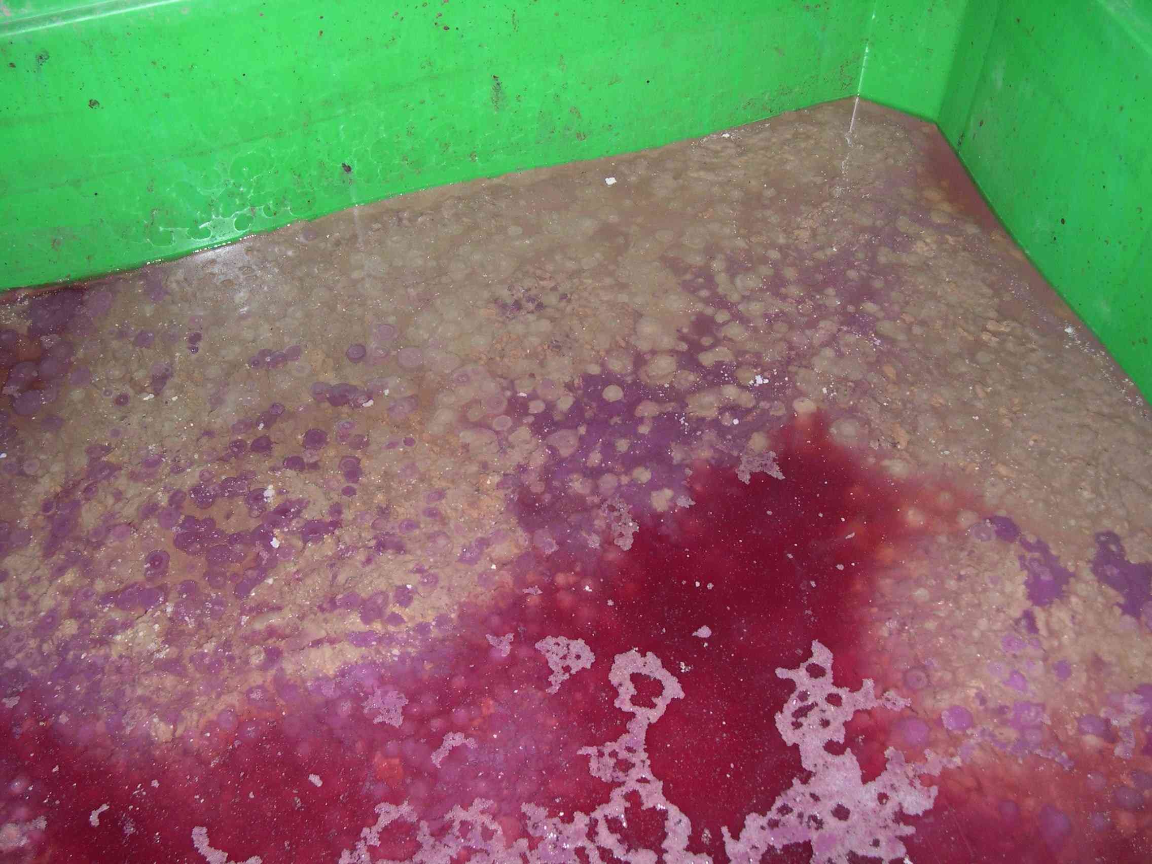 Bereit für die Entsorgung: Geläger von Rot- und Weißwein