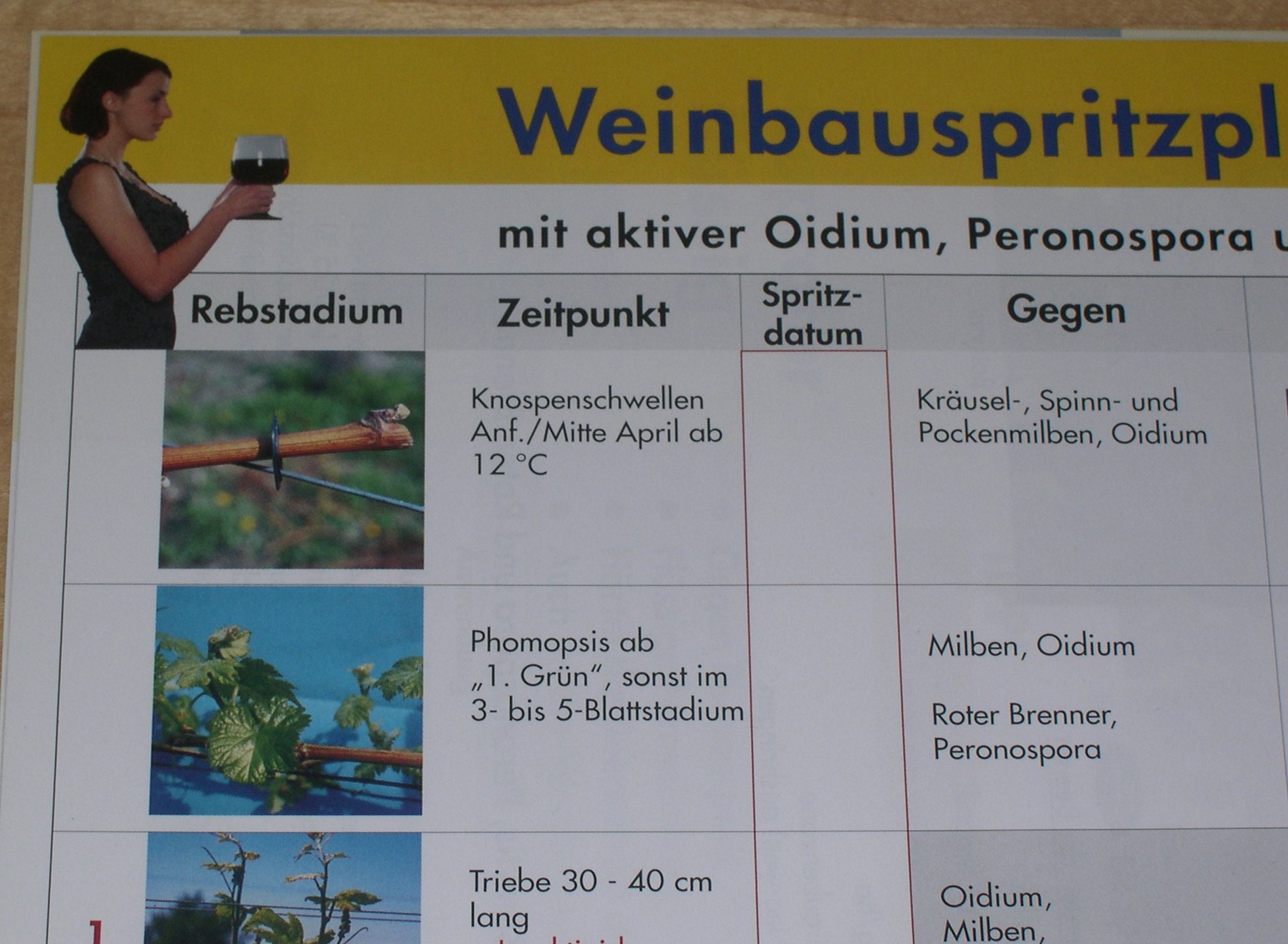 Unnötige und unmotivierte Frauenfotos im Inneren des Prospektes