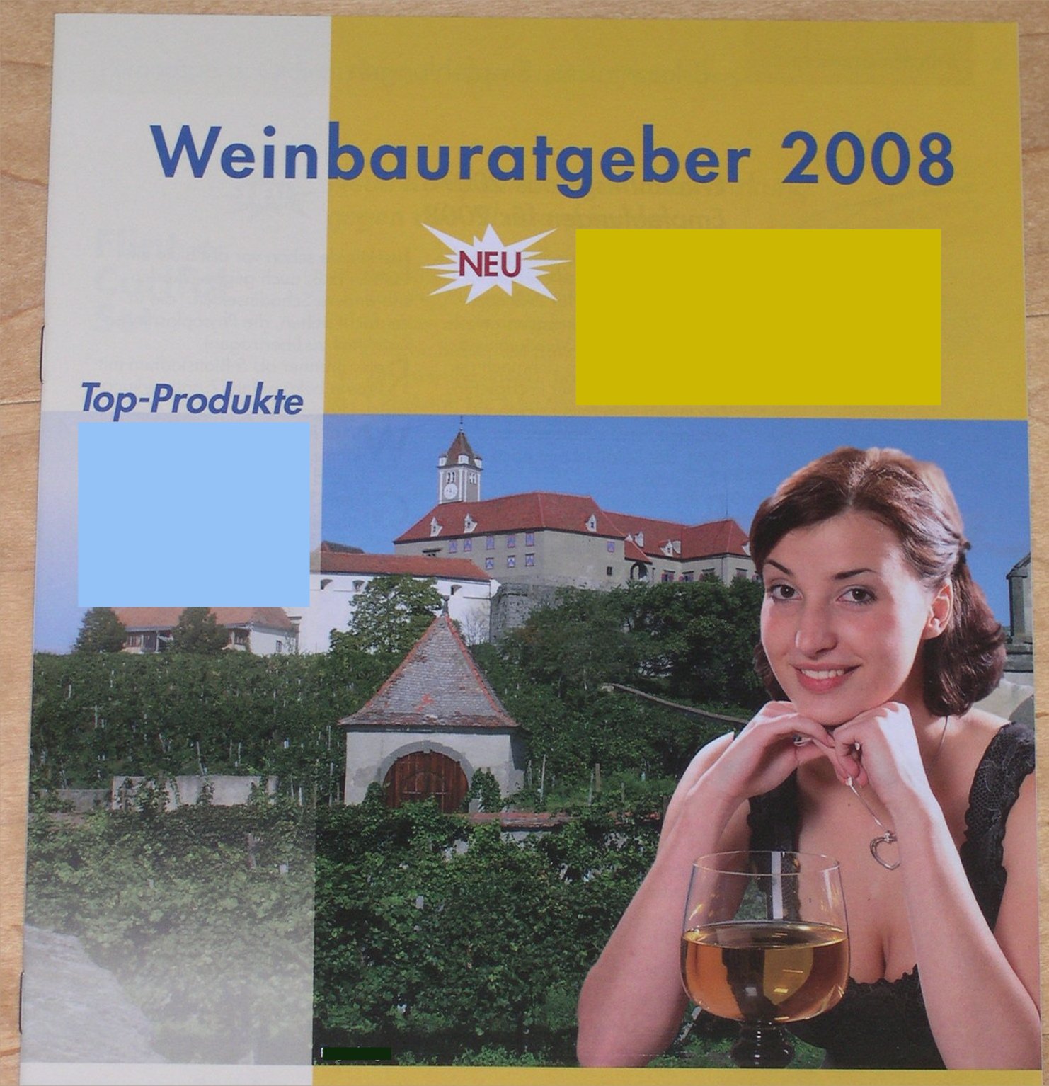Titelblatt der Konkurrenz 2008