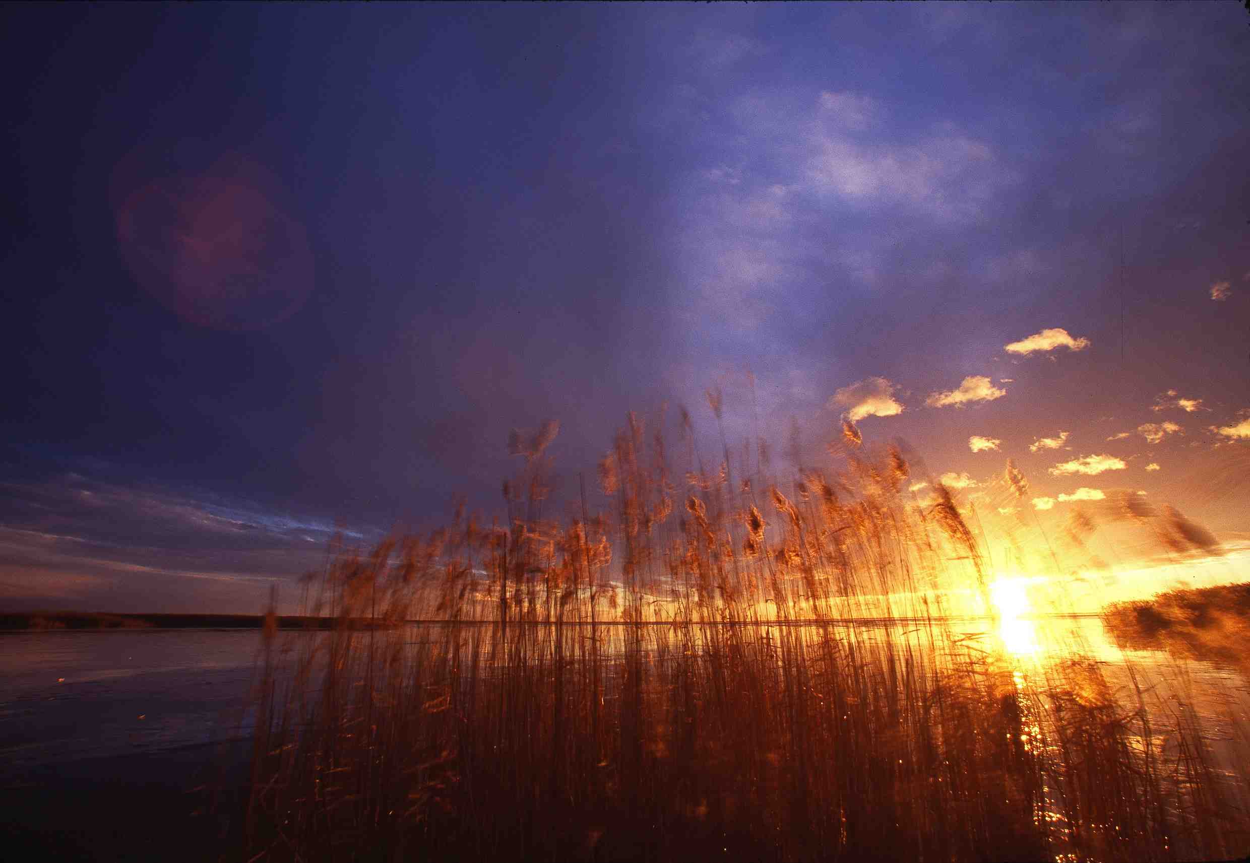 Seestimmung