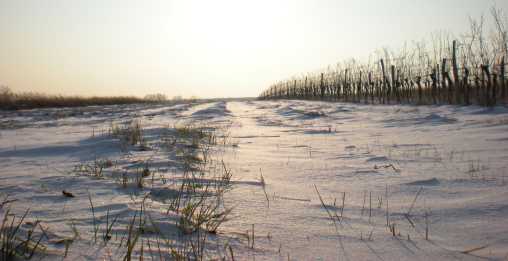 Strenger Winter Strenger Winter