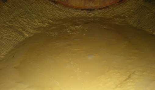 Chardonnay-Geläger