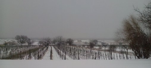 Spätwinter1