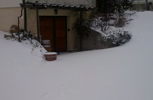 Spätwinter2