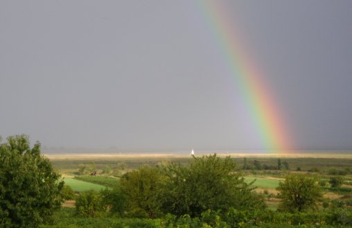 Regenbogen