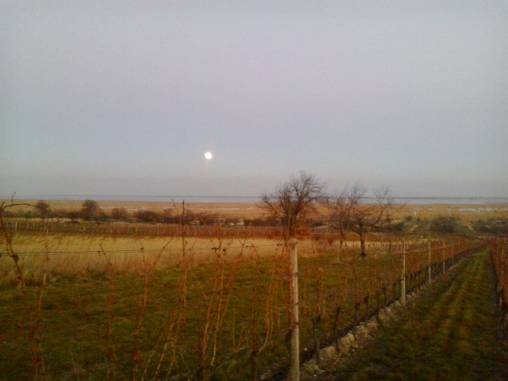 Abendlandschaft