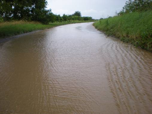 Regen